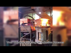 Vỏ nhôm Lò nung cảm ứng tần số trung bình Tối đa 1900 độ Celcius